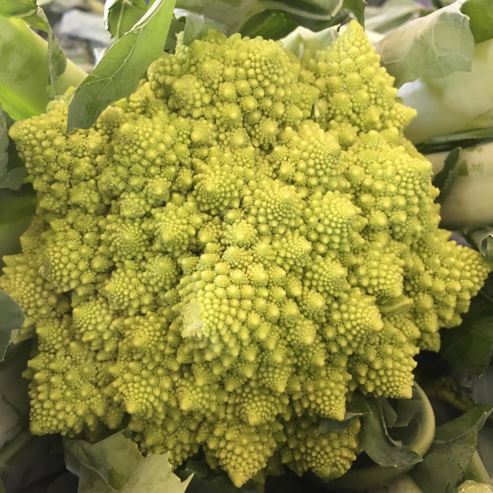 Couve Romanesco